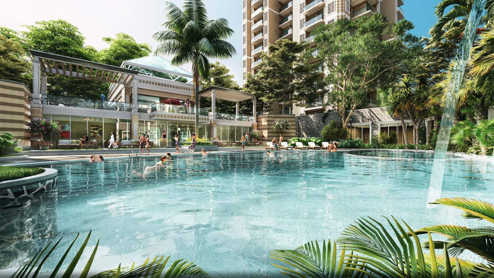 Swimming Pool View